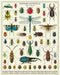 Image of Cavallini & Co. Bugs & Insects 1000 Piece Puzzle finished.