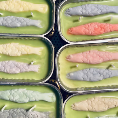 The Original Tinned Fish Candles shown open with two colorful fish - 6 cans shown