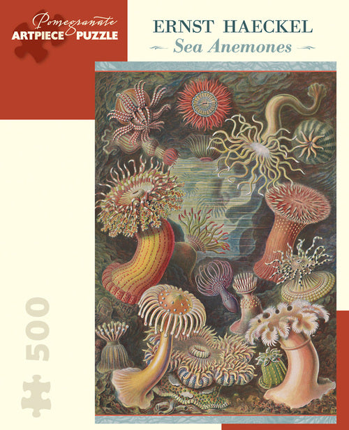 Ernst Haeckel- Sea Anemones 500-Piece Jigsaw Puzzle