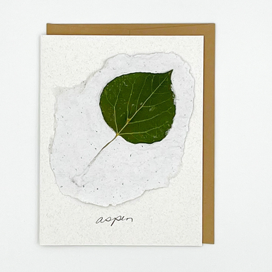 Black Eyed Susie Designs Pack of Four Cards and Envelopes- Aspen Leaves