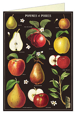 Cavallini & Co. Apples and Pears Single Greeting Cards