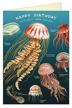 Cavallini & Co. Happy Birthday Jellyfish Single Card