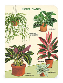 Cavallini & Co. House Plants Mini Notebook Set