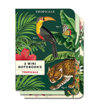 The Cavallini & Co. Tropicale Mini Notebook Set is a new design for 2022. 