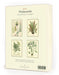 Cavallini & Co. Ferns Boxed Notecards includes 8 cards, 2 each of 4 designs. 