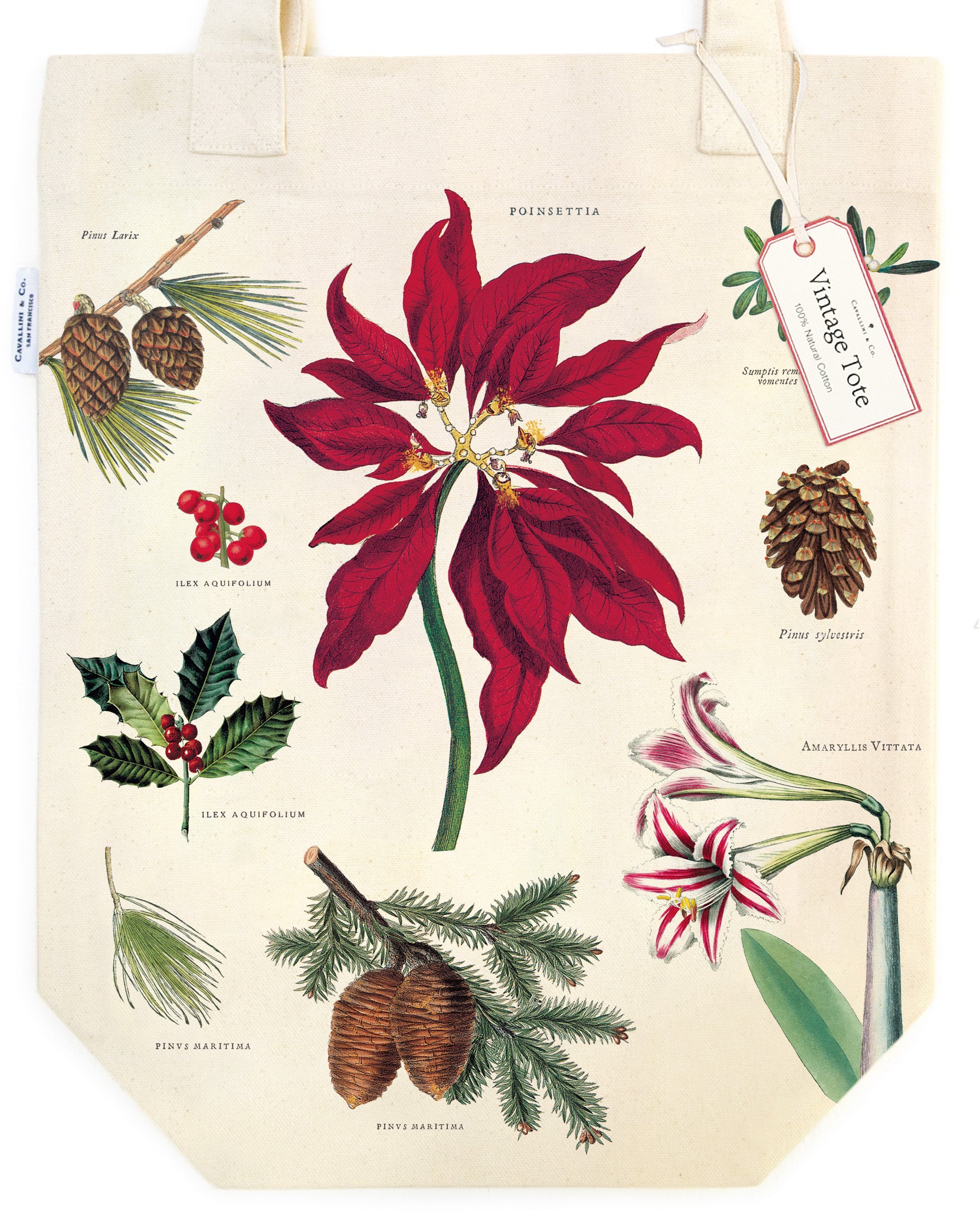 Cavallini & Co. Christmas Botanica Cotton Tote Bag