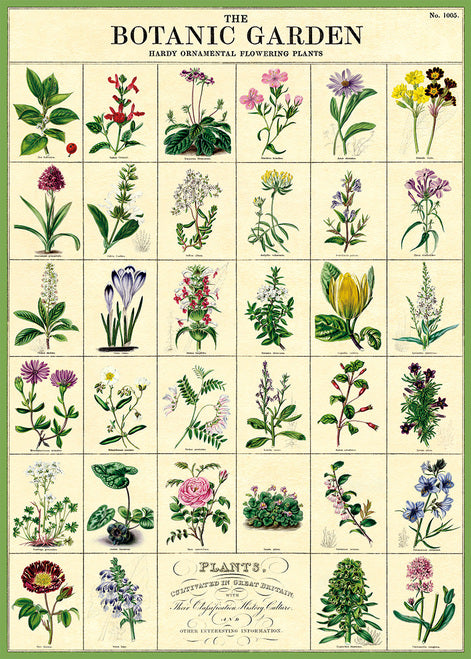 Cavallini & Co. Botanic Garden Decorative Paper