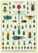 Cavallini & Co. Bugs & Insects Decorative Paper