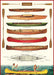 Cavallini's Canoes Decorative Wrap- learn canoe  styles, proper paddling technique, and canoe terminology  Cavallini's latest hit poster! 