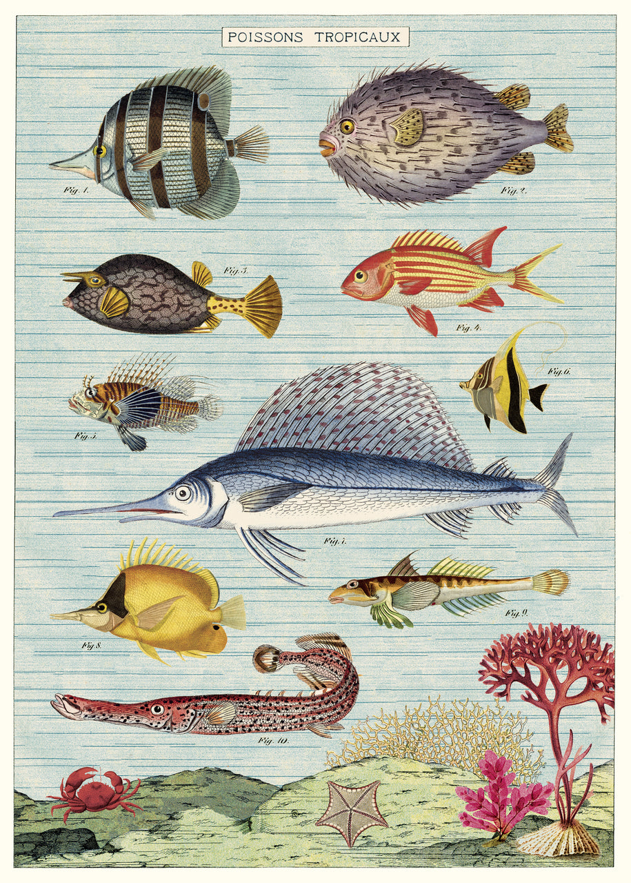 Cavallini's Tropical Fish Decorative Wrap is a colorful and detailed series of vintage fish images. This wrap just begs to be framed and hung in a bathroom!  