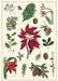 Cavallini & Co. Christmas Botanica Decorative Wrap