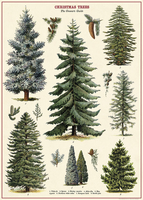Cavallini & Co. Christmas Trees Decorative Paper