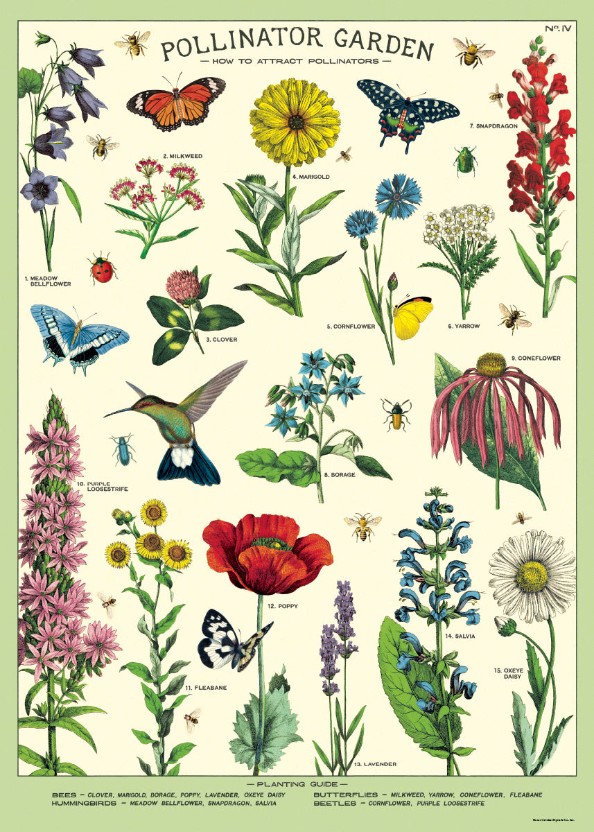 Cavallini & Co. Pollinators Decorative Wrap