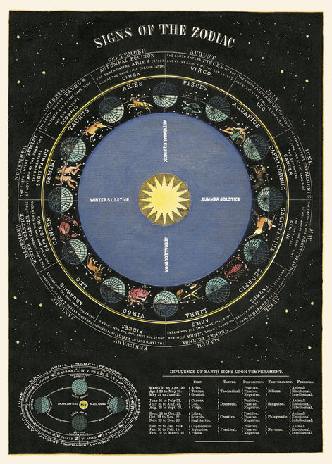 Cavallini & Co. Zodiac Chart Decorative Paper