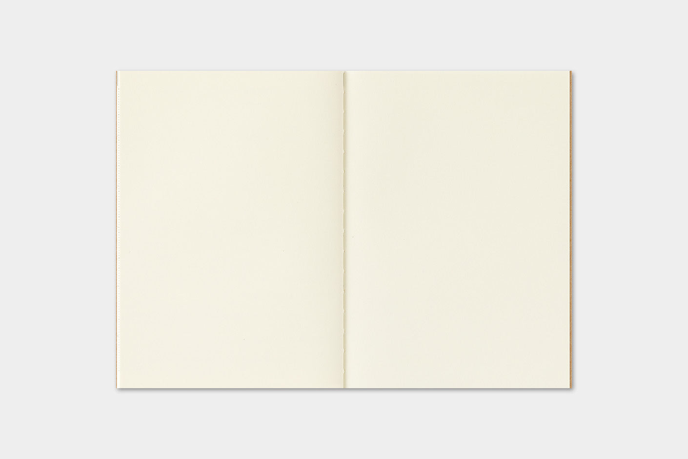 An open blank notebook with cream-colored pages, displayed flat against a light gray background.