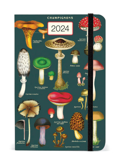 Image of 2024 Cavallini & Co. Mushrooms Weekly Planner