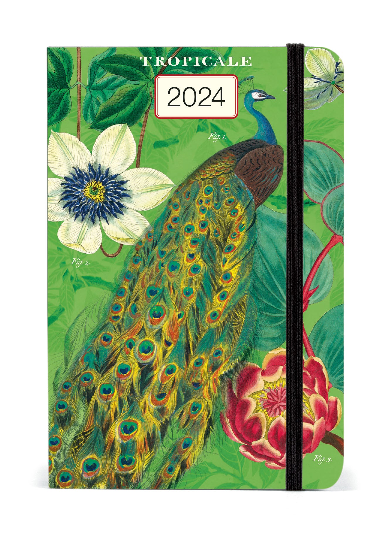 Image of 2024 Cavallini & Co. Tropicale Weekly Planner