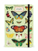 2025 Cavallini & Co. Butterflies Weekly Planner