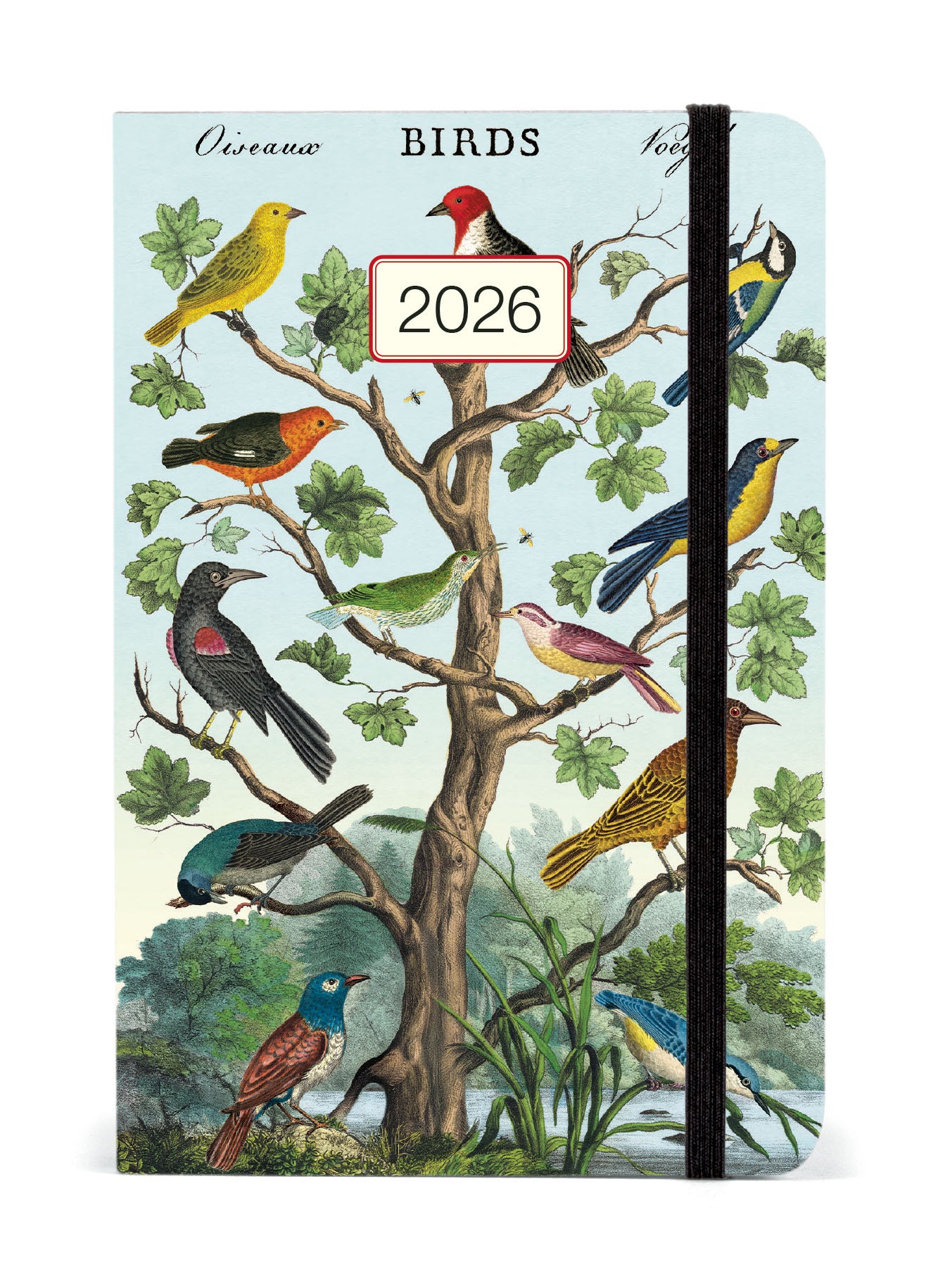 2026 Cavallini & Co. Birds Weekly Planner