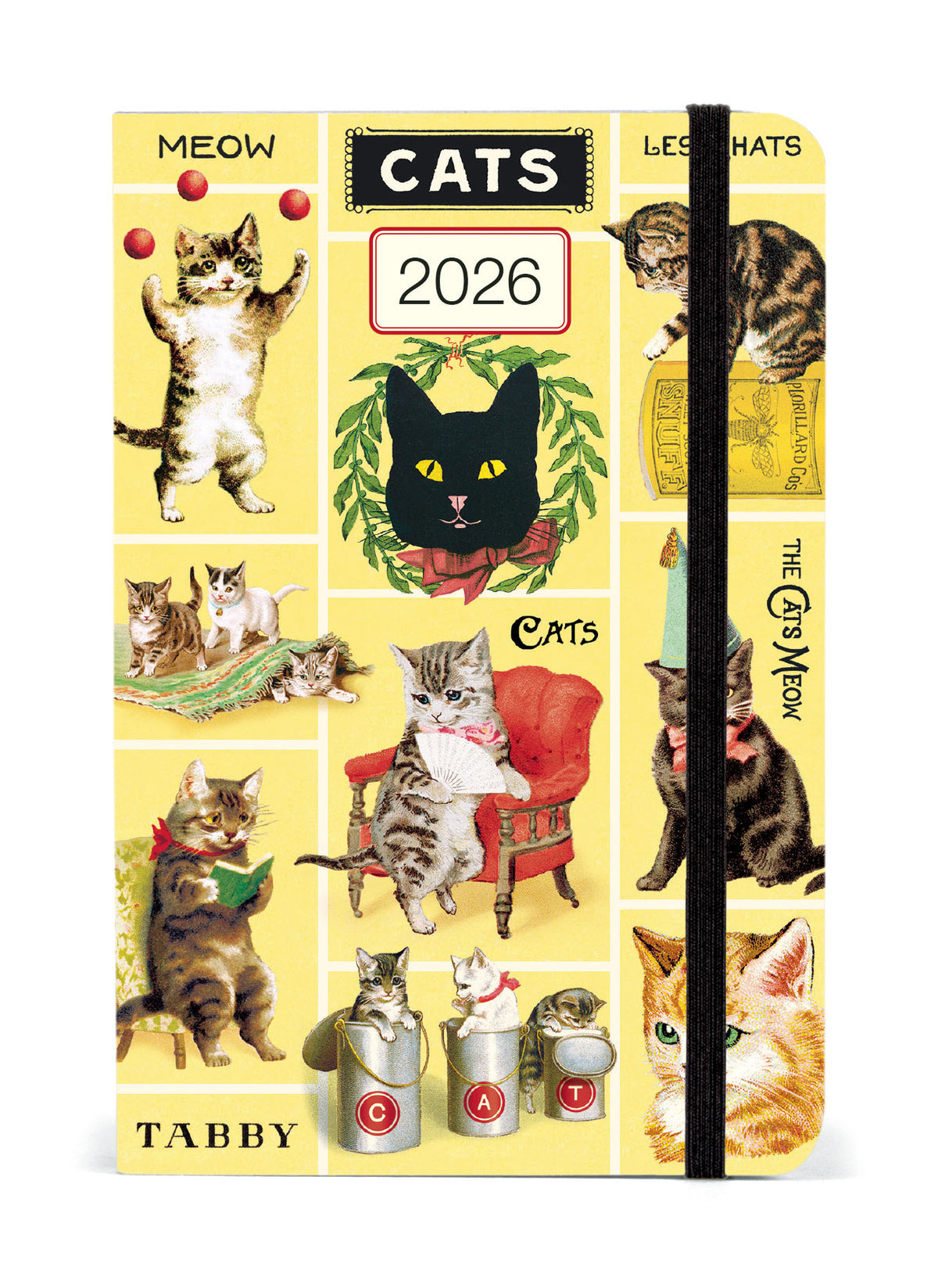 Aazon.co : Cavallini & Co. Ushroos 2025 Pocket Weekly Planner, 4\"x6...