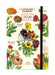 2026 Cavallini & Co. Language of Flowers Weekly Planner
