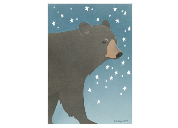Crane Creek Graphics Holiday Bear Night Sky Notecard Folio- set of 10 cards and envelopes