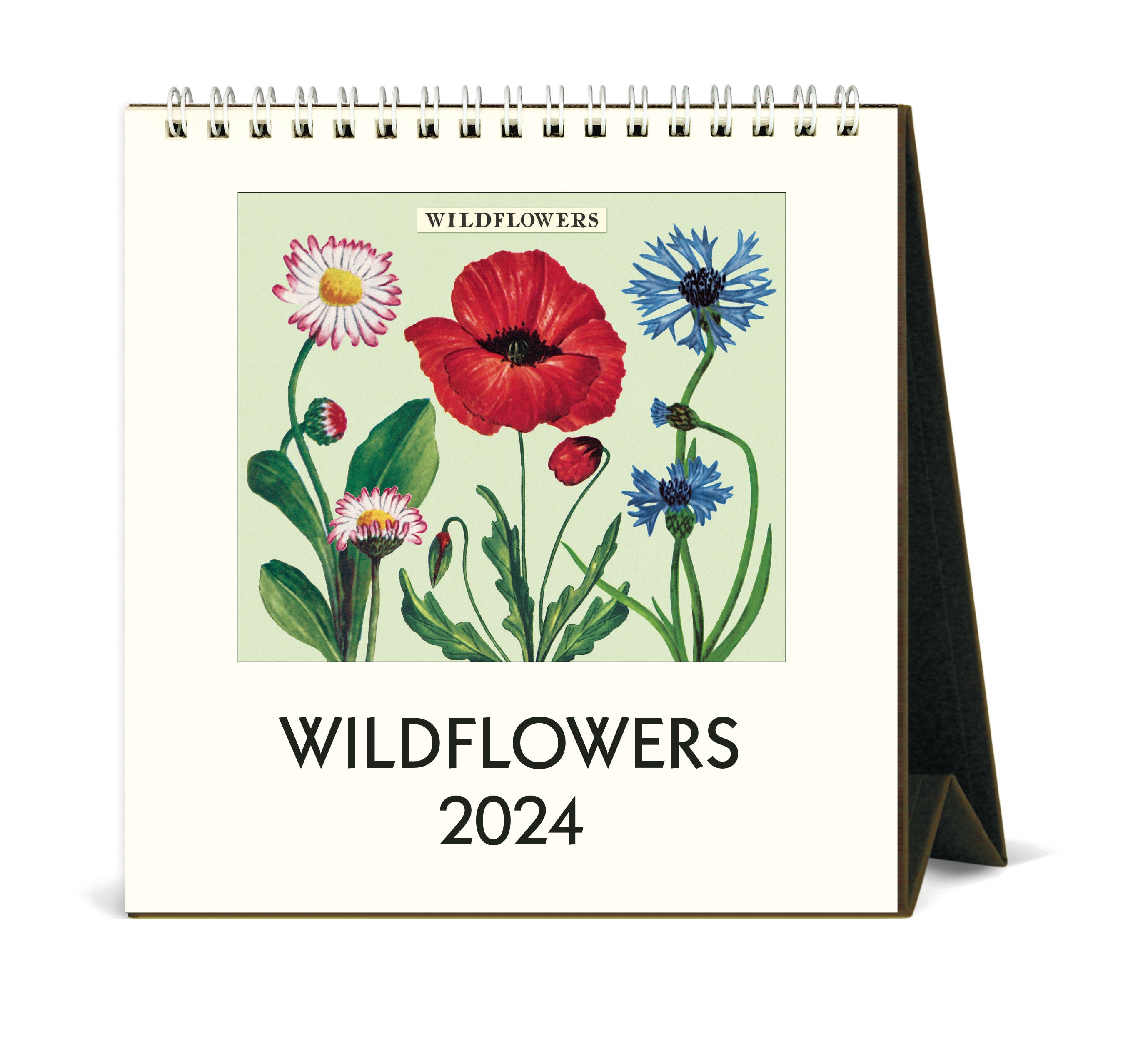 Image of 2024 Cavallini & Co. Wildflowers Desk Calendar