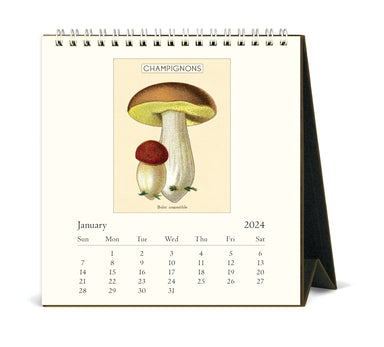 Image of 2024 Cavallini & Co. Mushrooms Desk Calendar