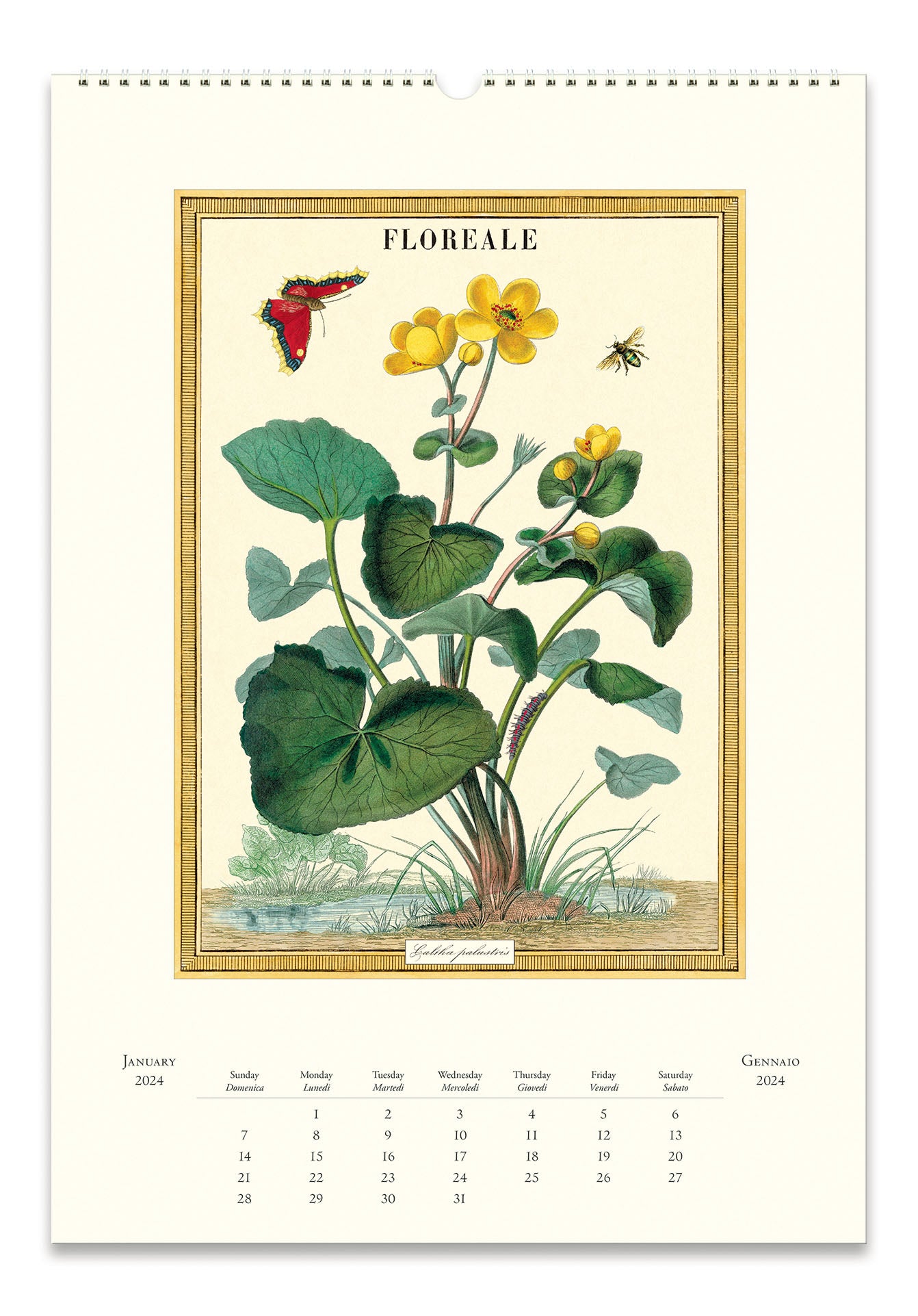 Image of NEW for 2024 Cavallini & Co. Floreale Wall Calendar