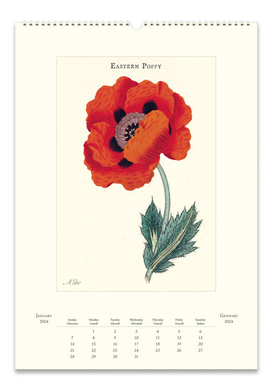 Image of 2024 Cavallini & Co. Botanica Wall Calendar