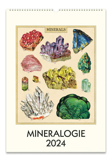 Image of 2024 Cavallini & Co. Minerologie Wall Calendar