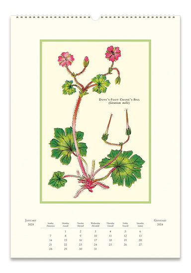 Image of 2024 Cavallini & Co. Wildflowers Wall Calendar