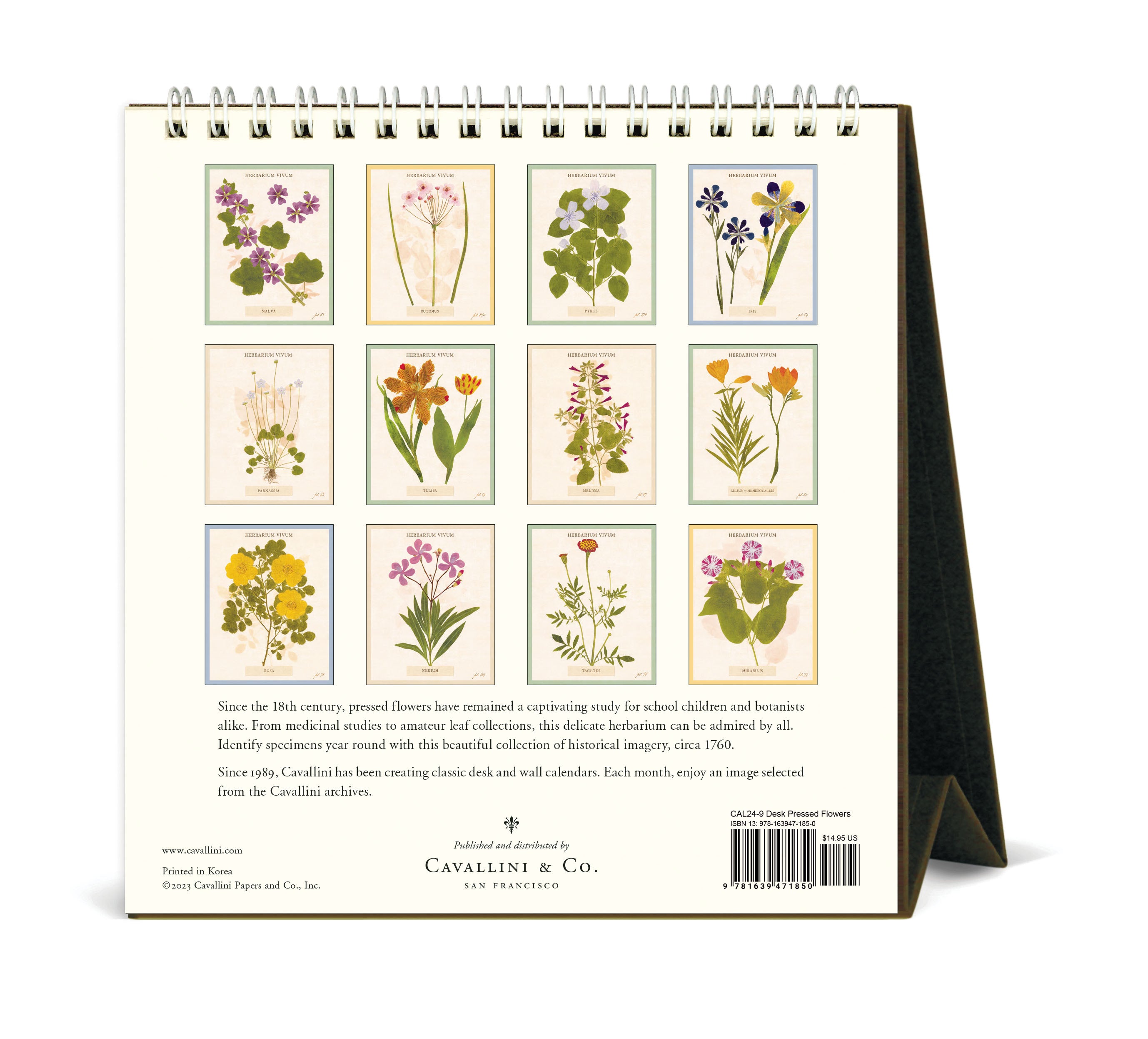 Image of 2024 Cavallini & Co. Pressed Flowers Desk Calendar