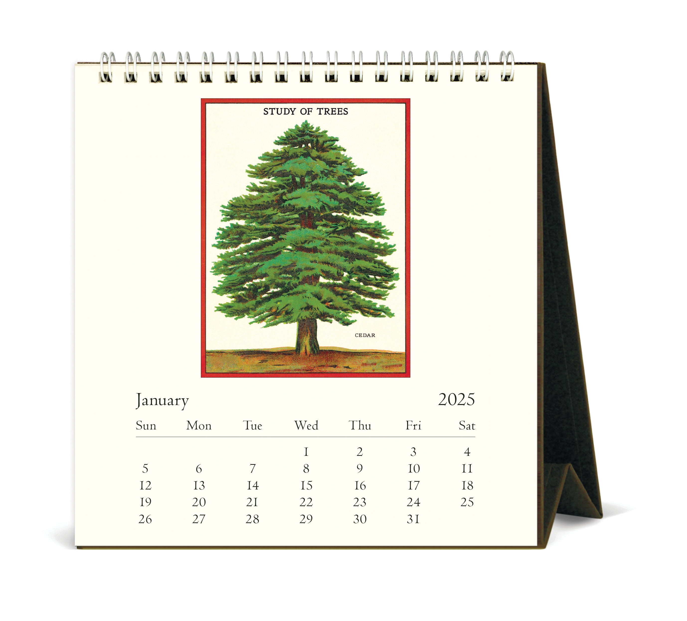 2025 Cavallini & Co. Arboretum Desk Calendar January page