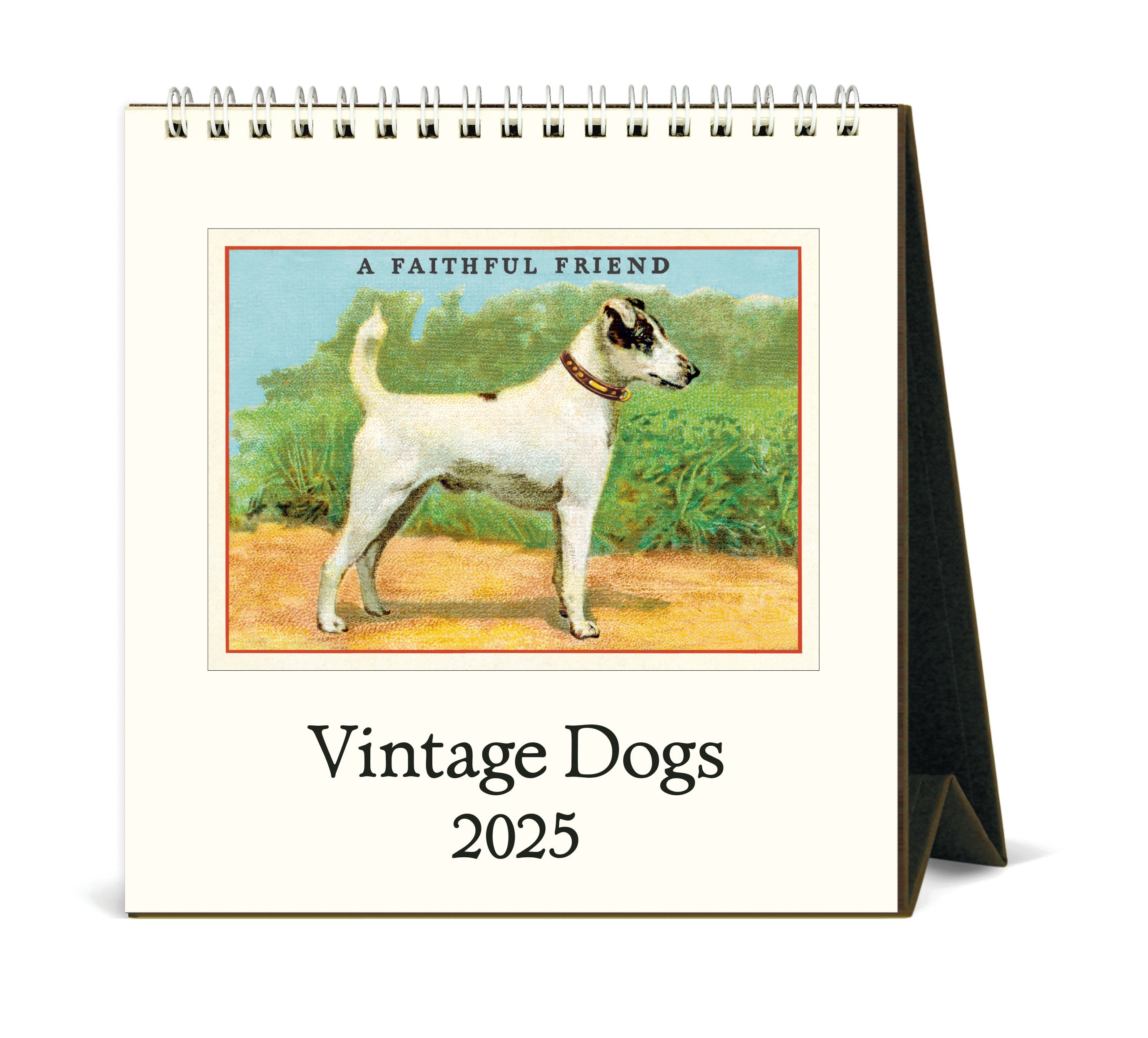 2025 Cavallini & Co. Vintage Dogs Desk Calendar front cover image