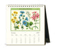 2025 Cavallini & Co. Wildflowers Desk Calendar January page