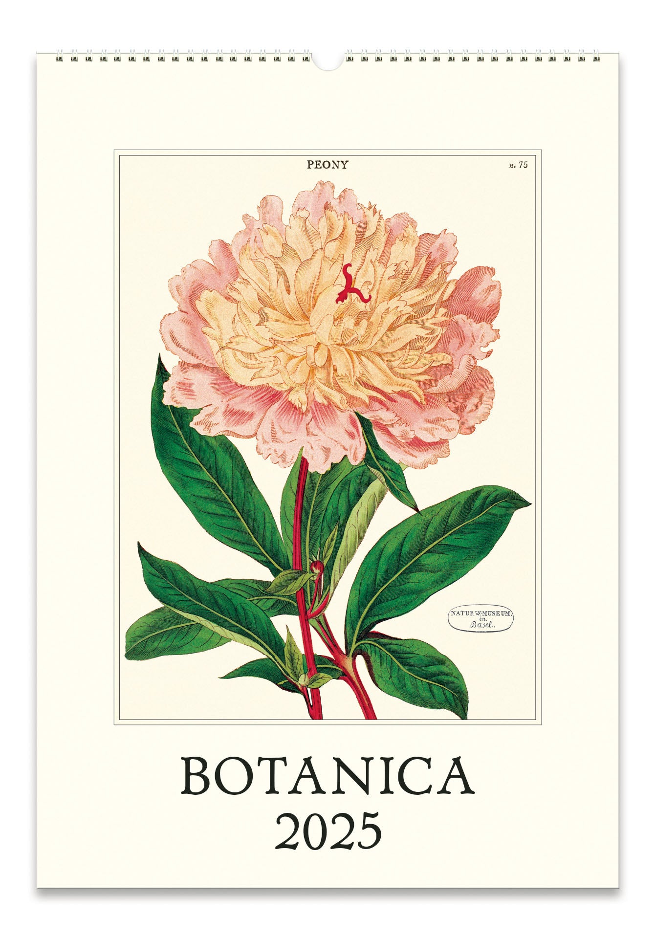 2025 Cavallini & Co. Botanica Wall Calendar front cover image