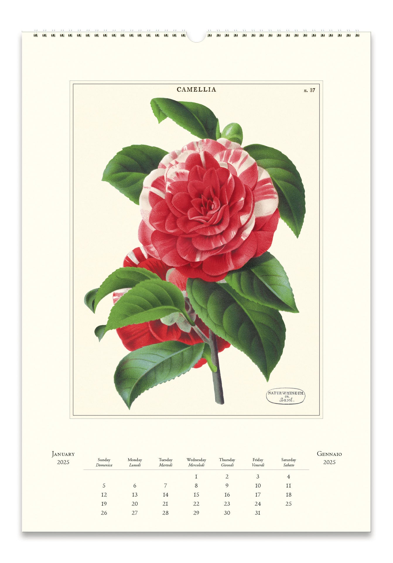 2025 Cavallini & Co. Botanica Wall Calendar January page image