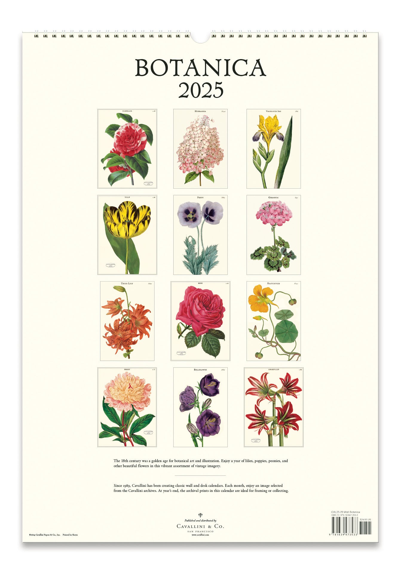 2025 Cavallini & Co. Botanica Wall Calendar back cover