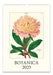 2025 Cavallini & Co. Botanica Wall Calendar front cover image