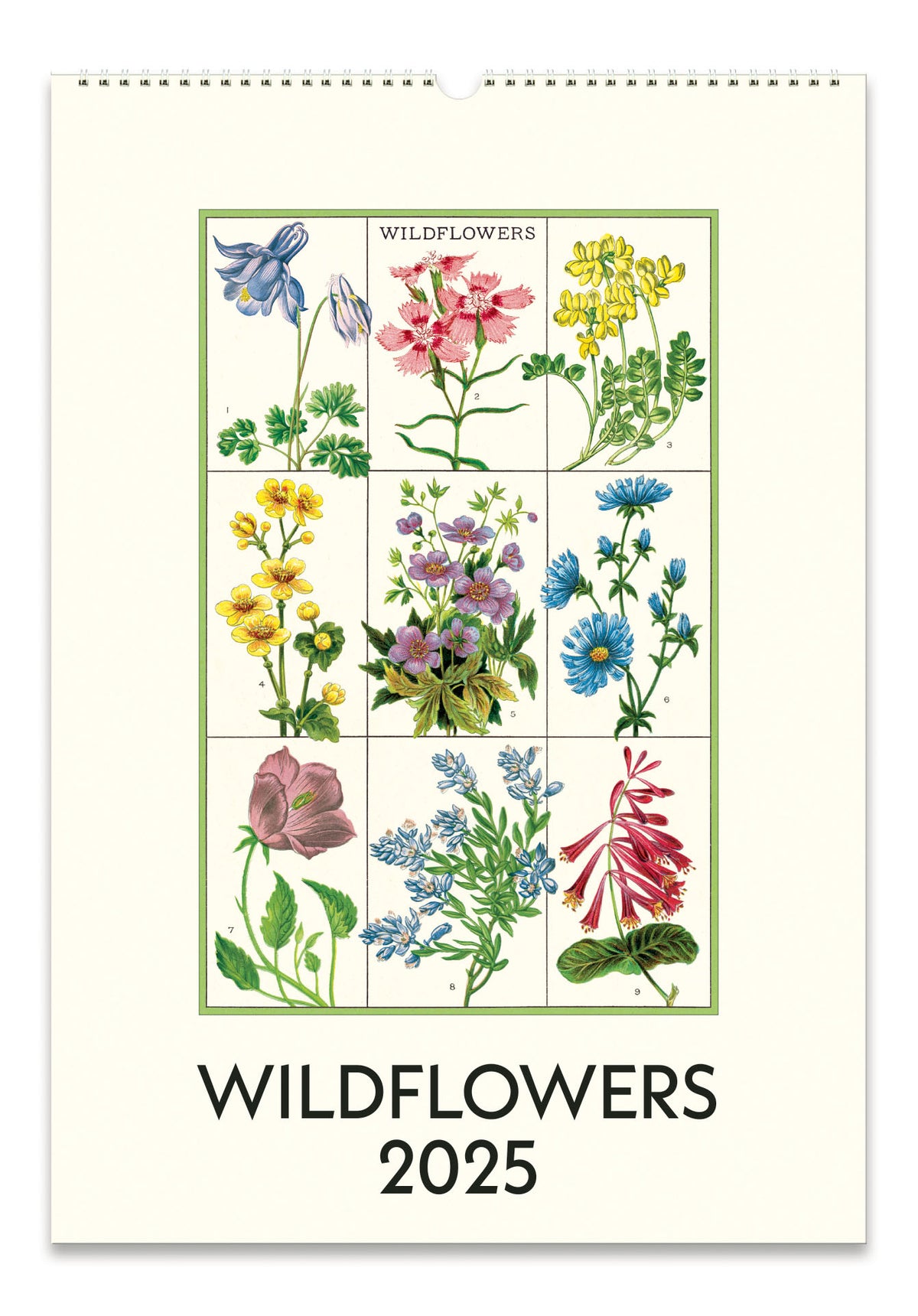 2025 Cavallini & Co. Wildflowers Wall Calendar — Two Hands Paperie