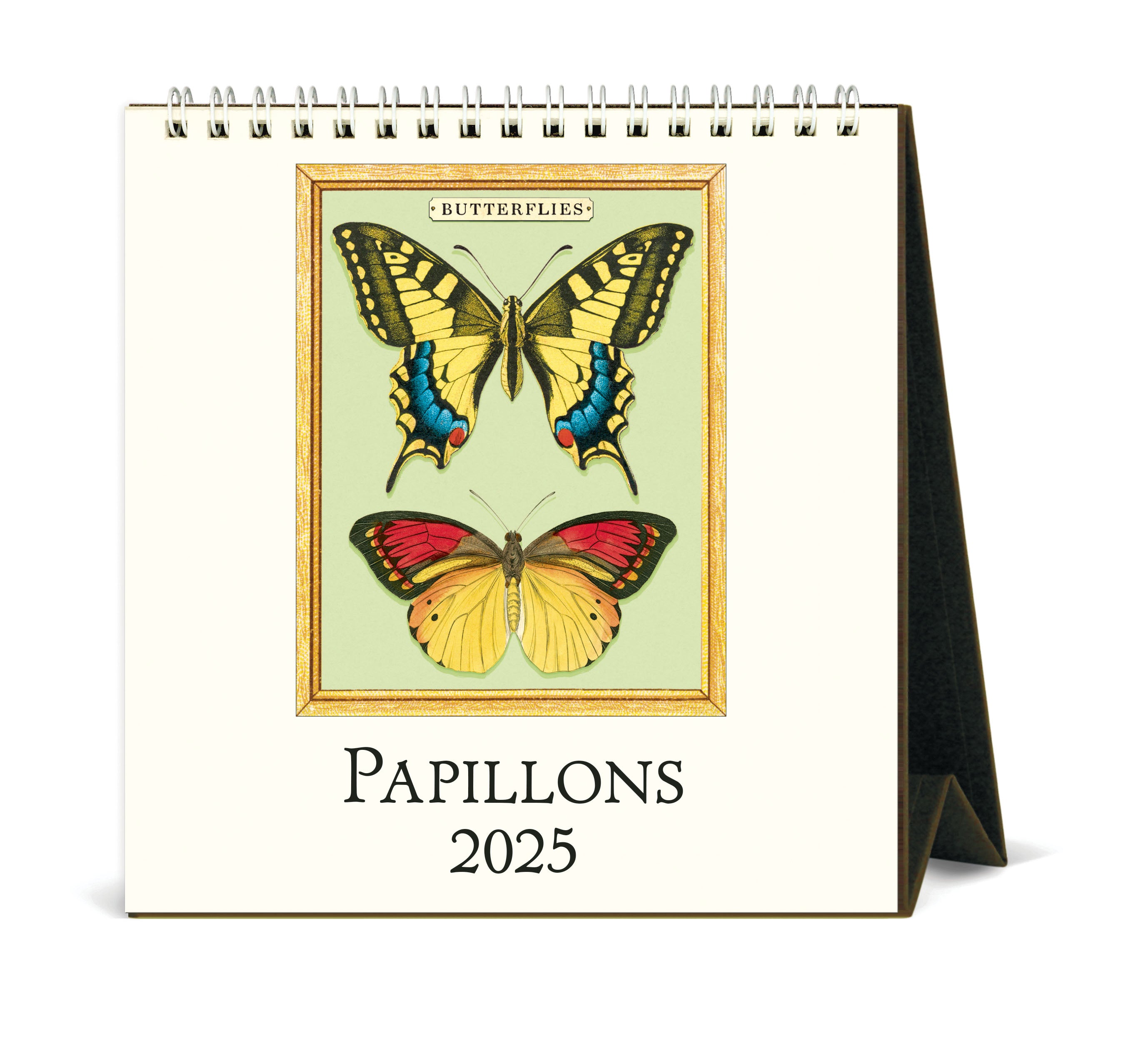 2025 Cavallini & Co. Papillions Desk Calendar