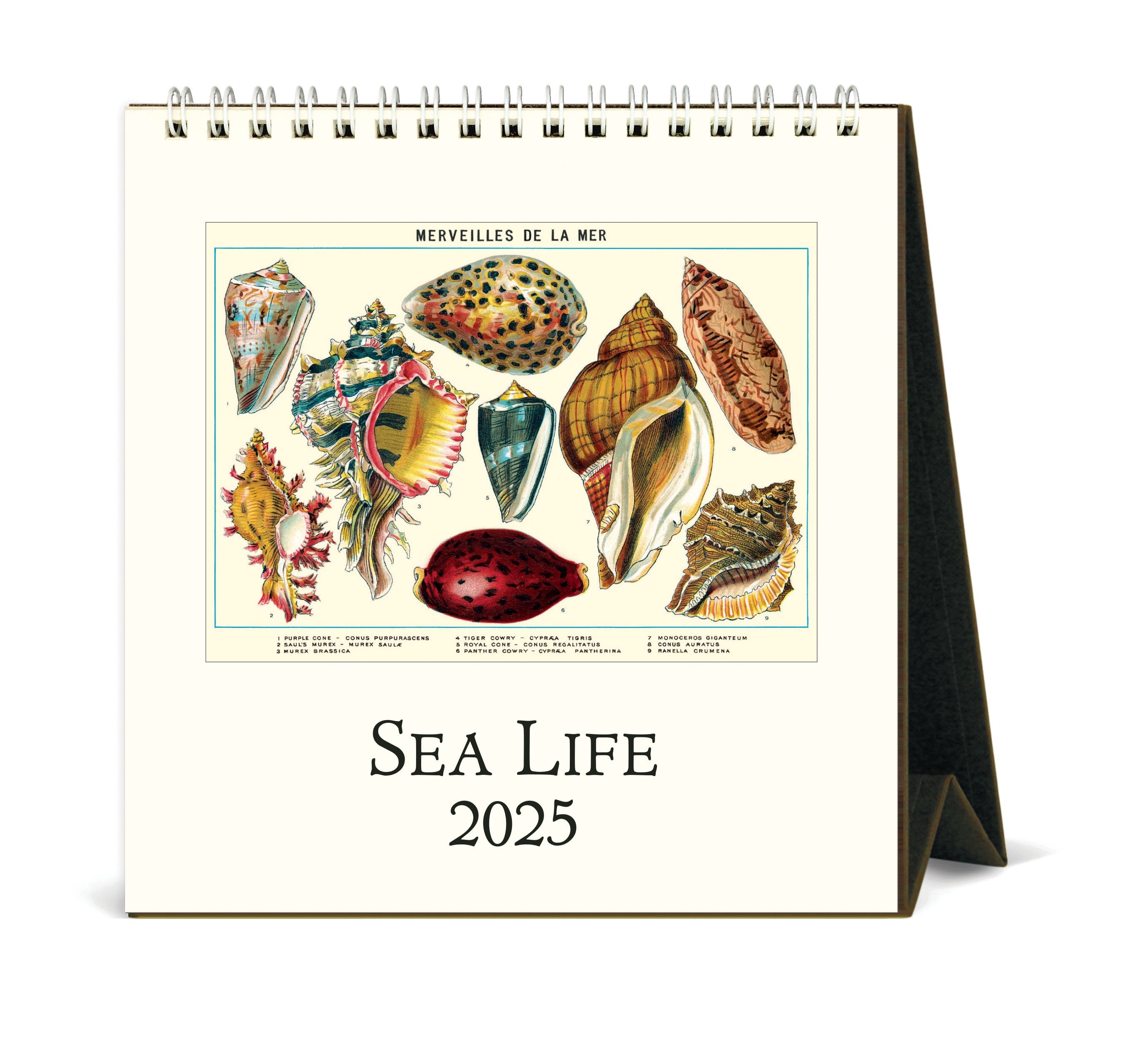 Cavallini Desk Calendar 2025