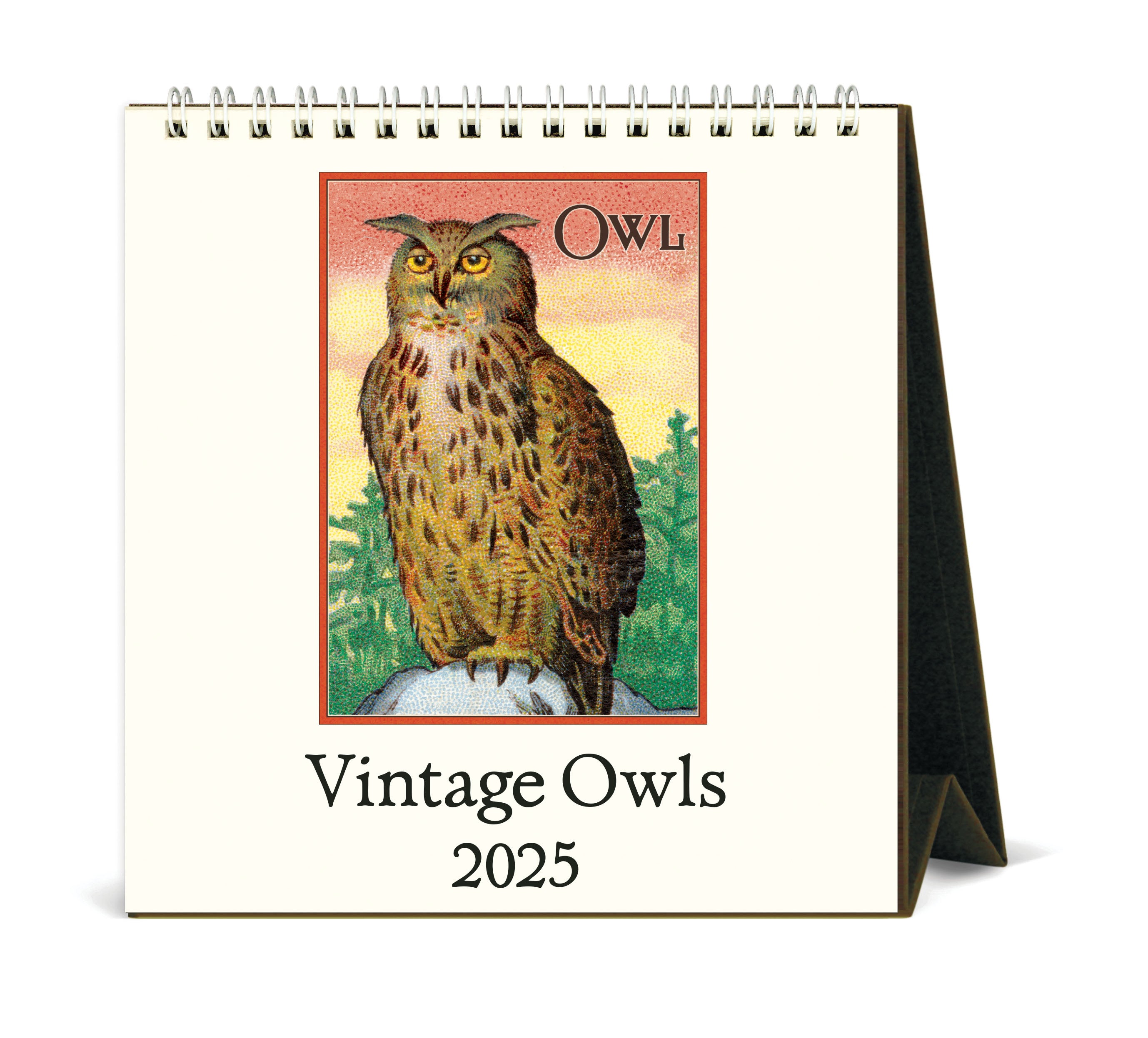 2025 Cavallini & Co. Vintage Owls Desk Calendar front cover