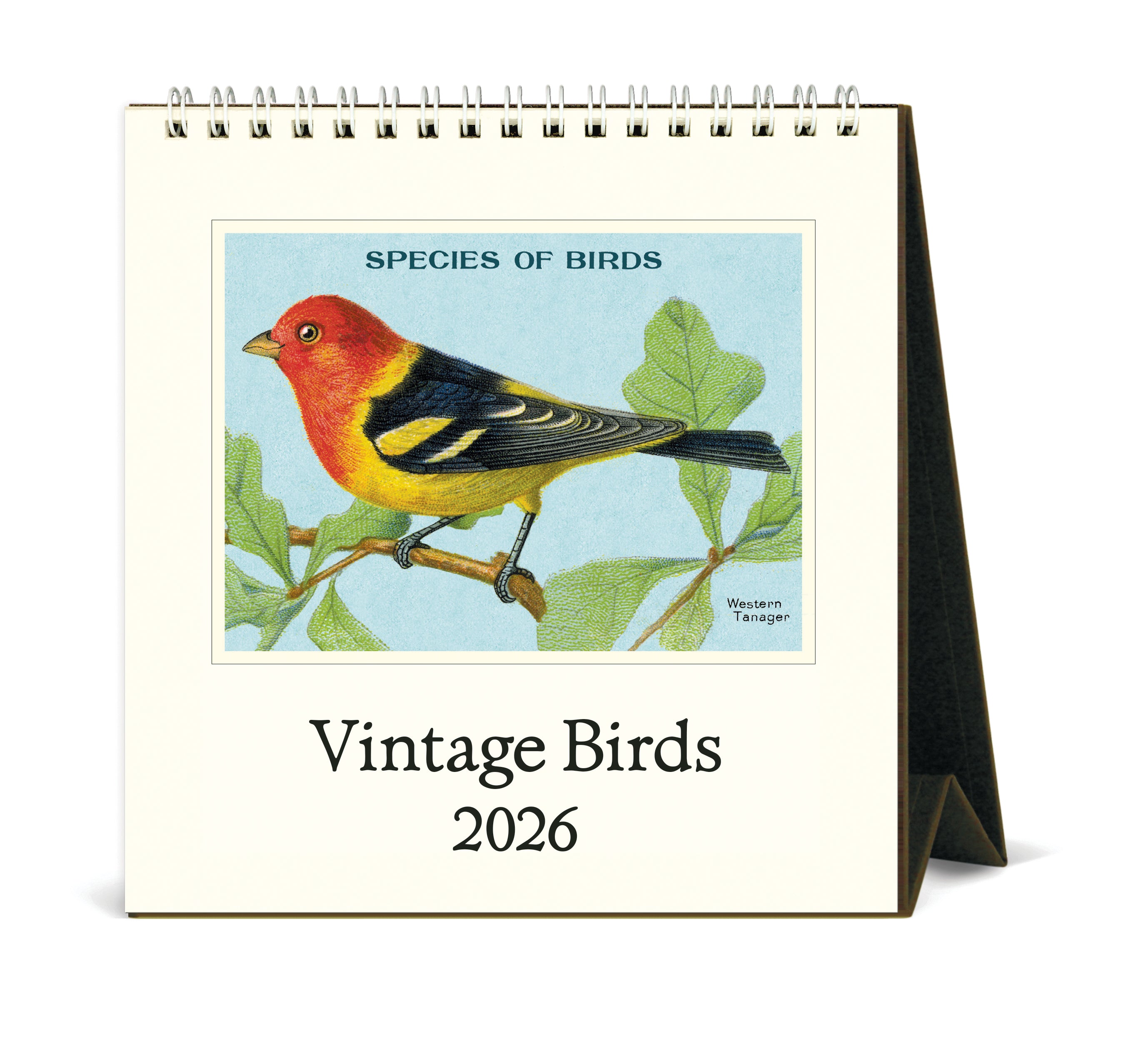 2026 Cavallini & Co. Vintage Birds Desk Calendar front cover image