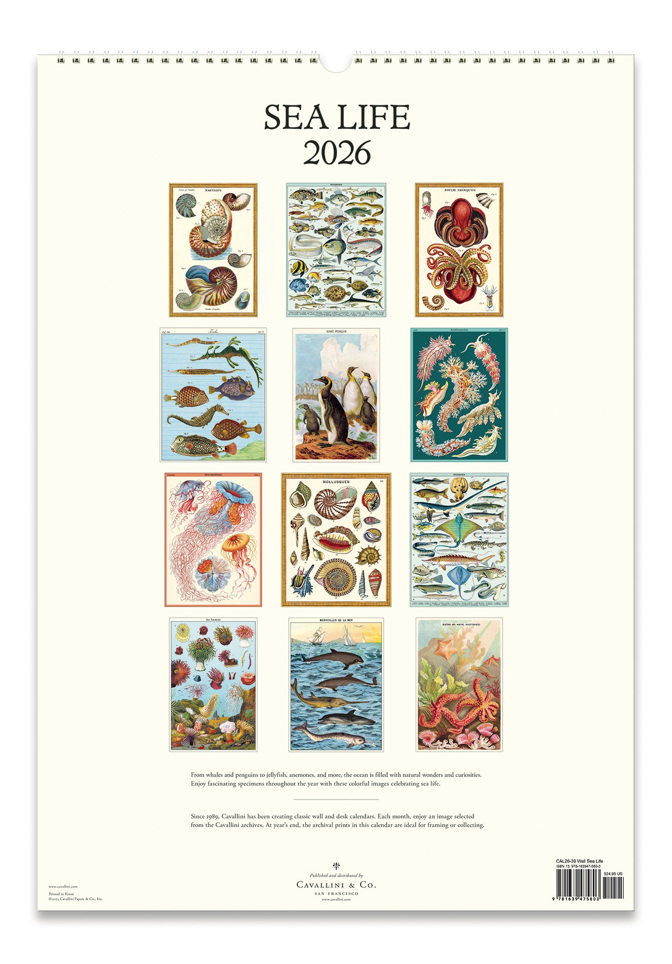 2026 Cavallini & Co. Sea Life Wall Calendar back cover image