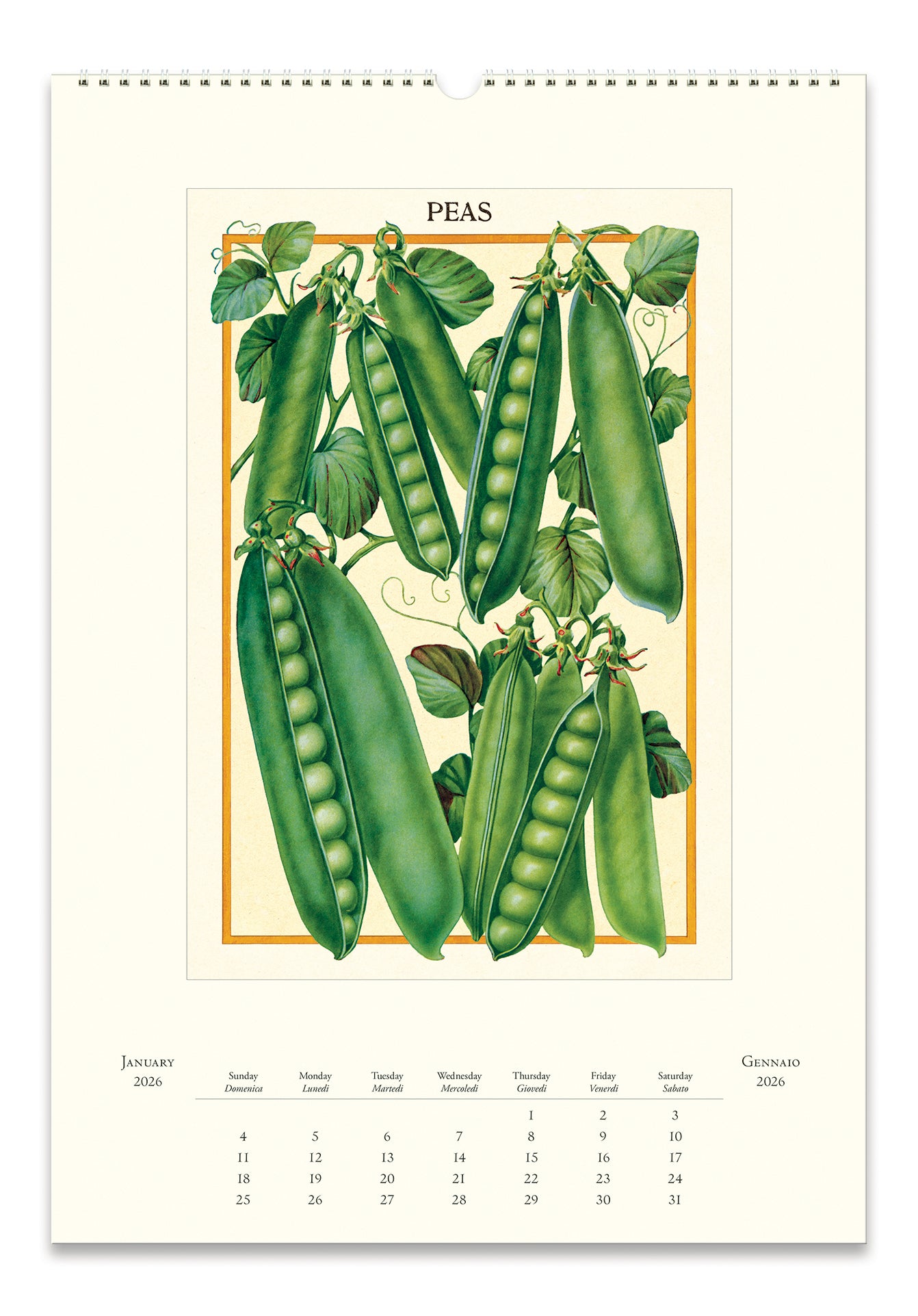 2026 Cavallini & Co. Farmer's Market Wall Calendar january page image