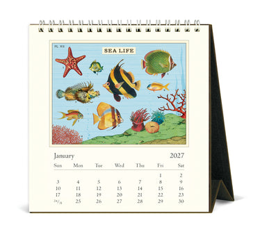 2027 Cavallini & Co. Sea Life Desk Calendar