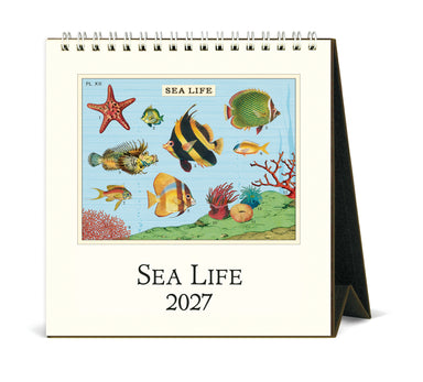 2027 Cavallini & Co. Sea Life Desk Calendar