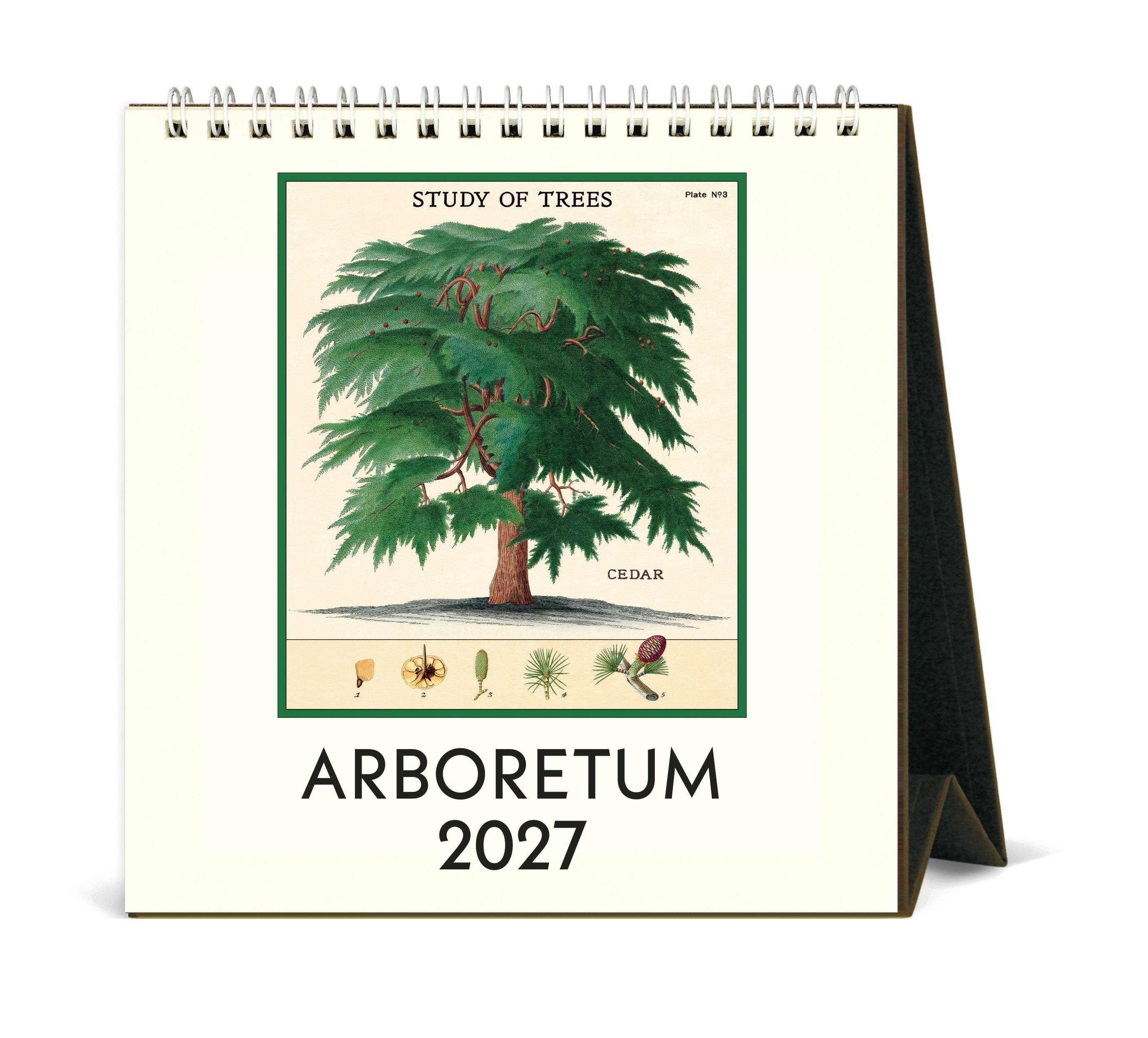 2027 Cavallini & Co. Arboretum Desk Calendar